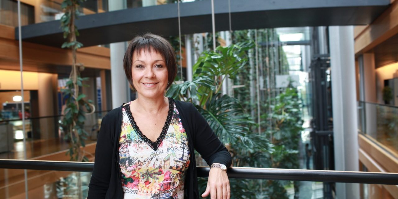 Les fonctionnaires européens retournent à l’école !