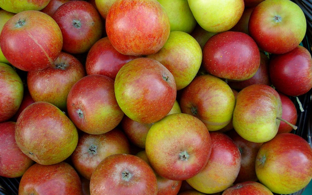 Distribution de fruits et de lait dans les écoles, la pédagogie des bons produits