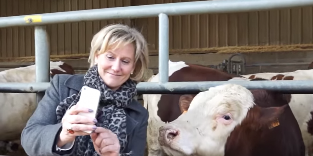 Propos de Mme Morano : #fachos ou #Républicains, il faut choisir