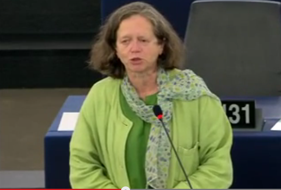 Pervenche Beres : « Nous devons mettre fin à cette concurrence fiscale mortelle »