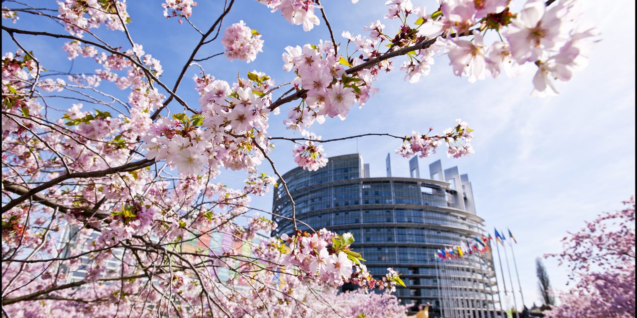 Droit d’auteur : l’Europe défend la démocratie face aux GAFA