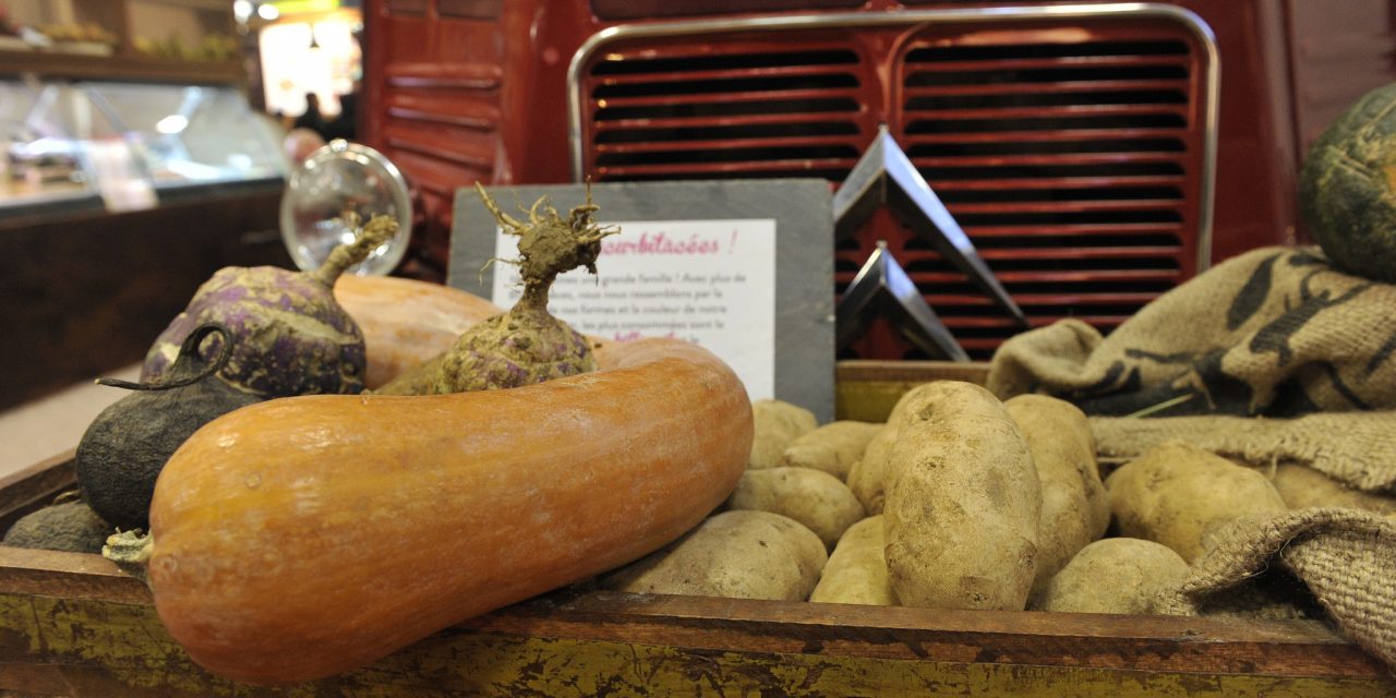 Gaspillage alimentaire : au lieu de jeter, nourrissons tous les Européens !