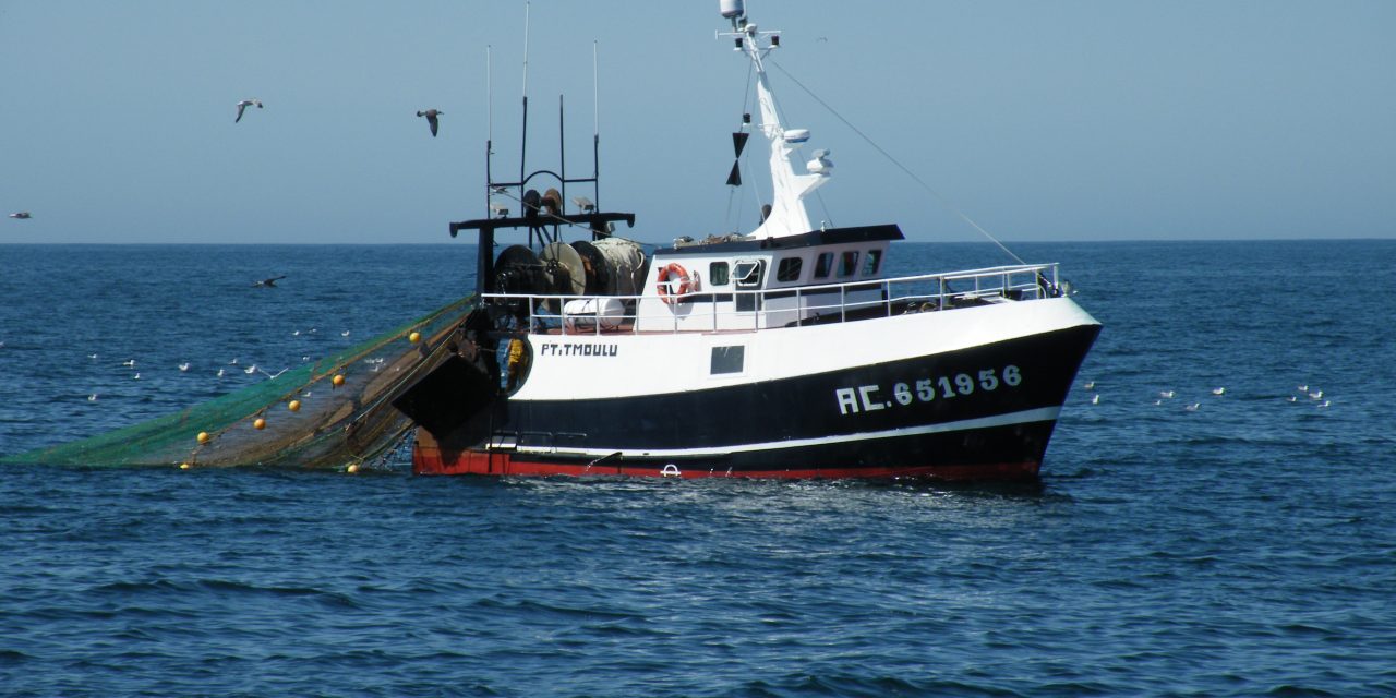 Communiqué Délégation socialiste française – Nouvelle Gauche sur la pêche électrique