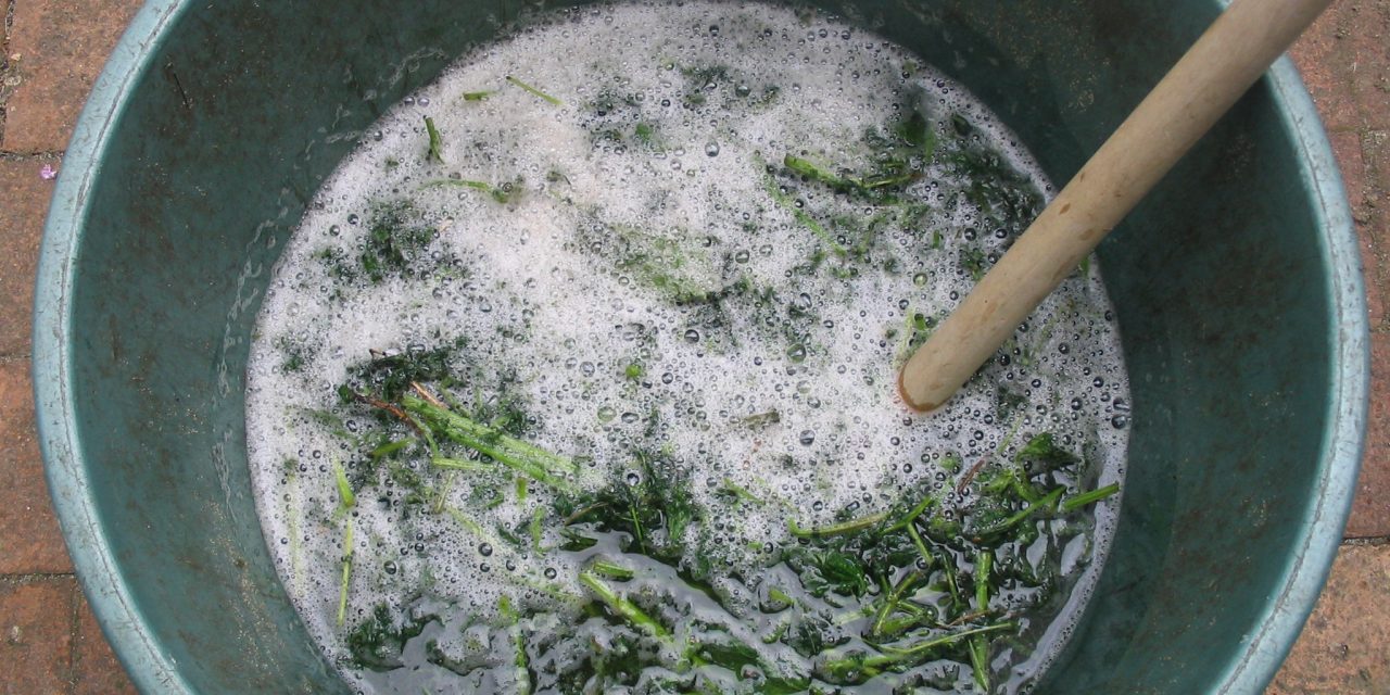 Oui aux pesticides biologiques comme alternative aux pesticides perturbateurs endocriniens