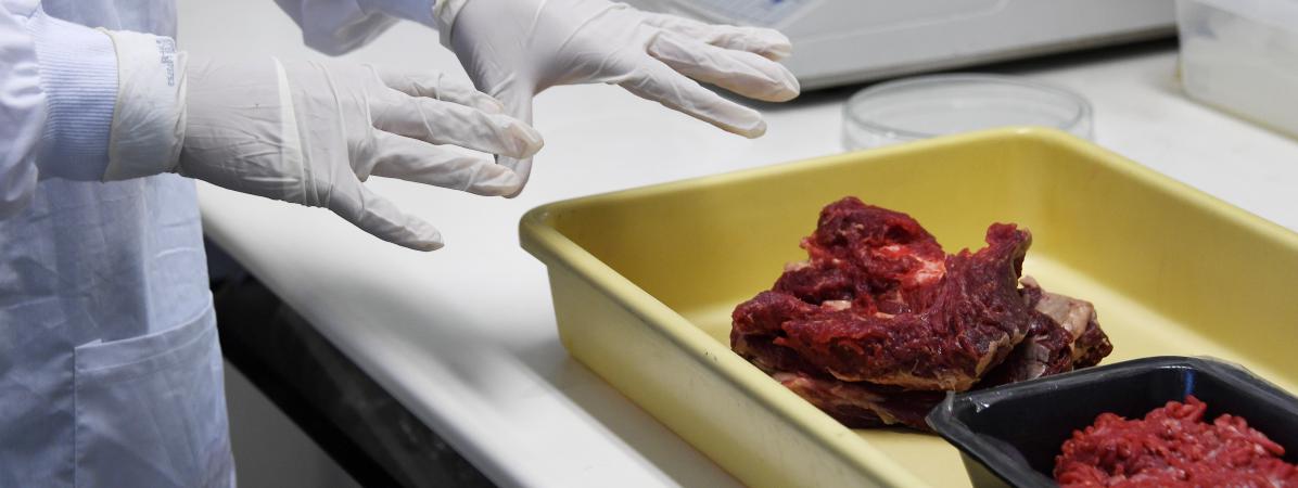 Un Mercosur, pas si sûr !