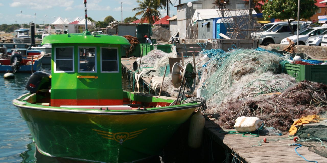 L’Union au secours de ses régions ultrapériphériques