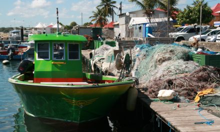 L’Union au secours de ses régions ultrapériphériques