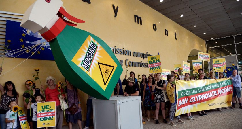 Glyphosate : « extension » et « renouvellement » ne sont pas la même chose