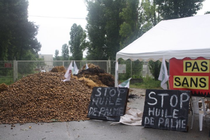 Huile de palme : Total et le Gouvernement français désavoués !