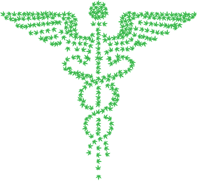 Cannabis thérapeutique : c’est pas OCB, mais CBD !