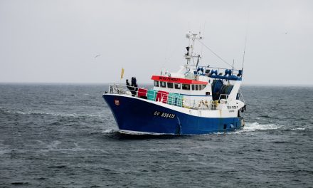 Lettre d’informations de la délégation de la gauche sociale et écologique N°16