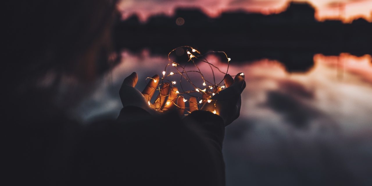 Lettre d’informations de la délégation de la gauche sociale et écologique N°18