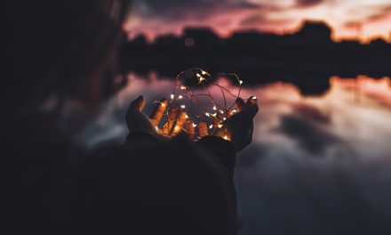 Lettre d’informations de la délégation de la gauche sociale et écologique N°18