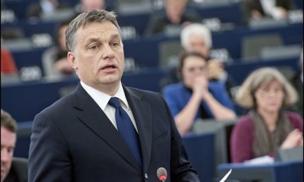 Lettre d’informations de la délégation de la gauche sociale et écologique N°25