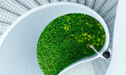 Lettre d’informations de la délégation de la gauche sociale et écologique N°24