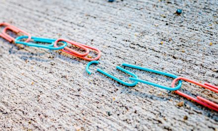 Lettre d’informations de la délégation de la gauche sociale et écologique N°42