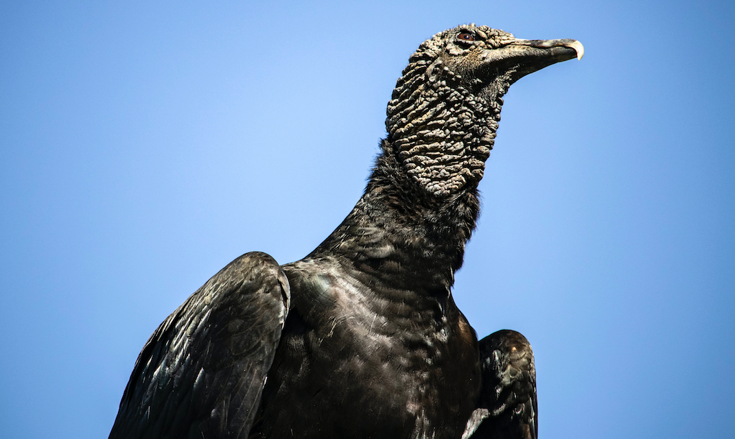 Lettre d’informations de la délégation de la gauche sociale et écologique N°52