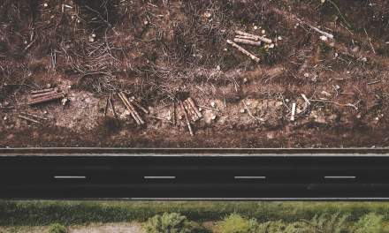 Lettre d’informations de la délégation de la gauche sociale et écologique N°59