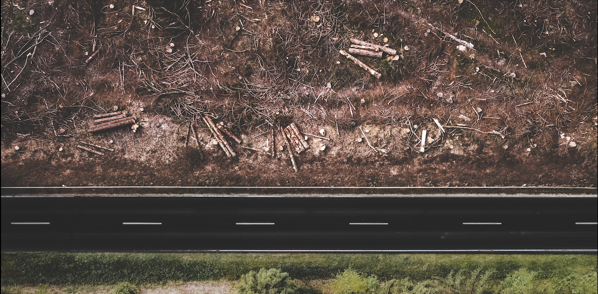 Lettre d’informations de la délégation de la gauche sociale et écologique N°59