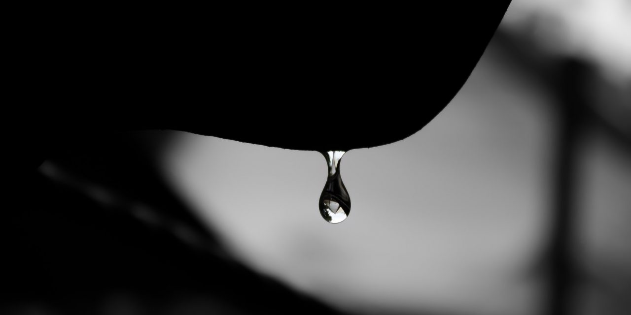 COP 26 à Glasgow : un tout petit pas pour l&rsquo;Homme, un tout petit pas pour l&rsquo;Humanité