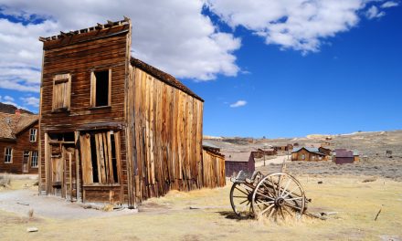 Pratiques déloyales des grandes plateformes en ligne : le temps du Far West est terminé