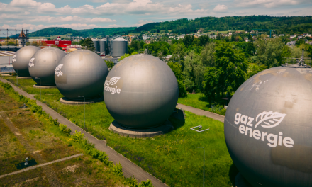 Lettre d’informations de la délégation de la gauche sociale et écologique N°113