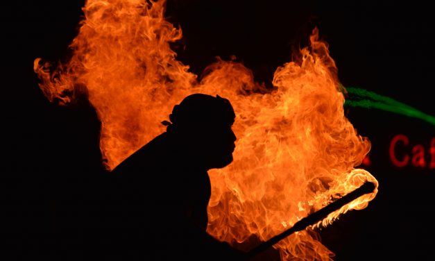 Déforestation : la droite court après l’extrême droite pendant que le Conseil organise le sabotage du Green Deal