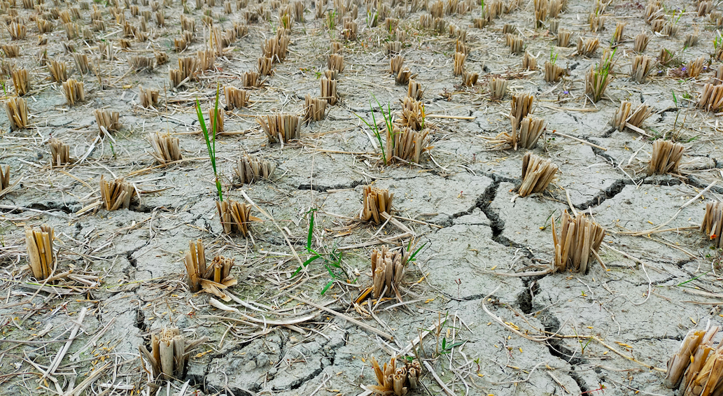Lettre d’informations de la délégation de la gauche sociale et écologique N°172