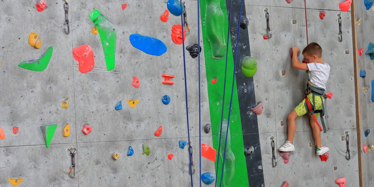 Lettre d’informations de la délégation de la gauche sociale et écologique N°164