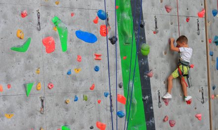 Lettre d’informations de la délégation de la gauche sociale et écologique N°164