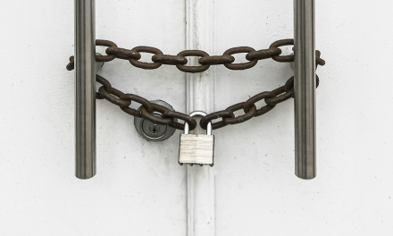 Lettre d’informations de la délégation de la gauche sociale et écologique N°175