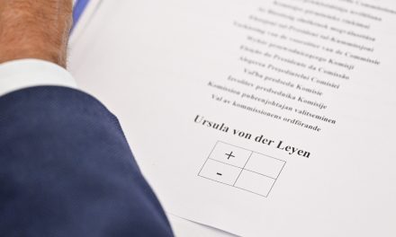 Auditions des Commissaires désignés : exigence et vigilance