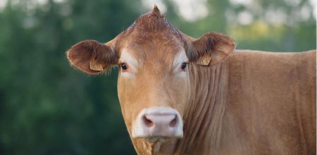 Lettre d’informations de la délégation française du groupe S&D N°198